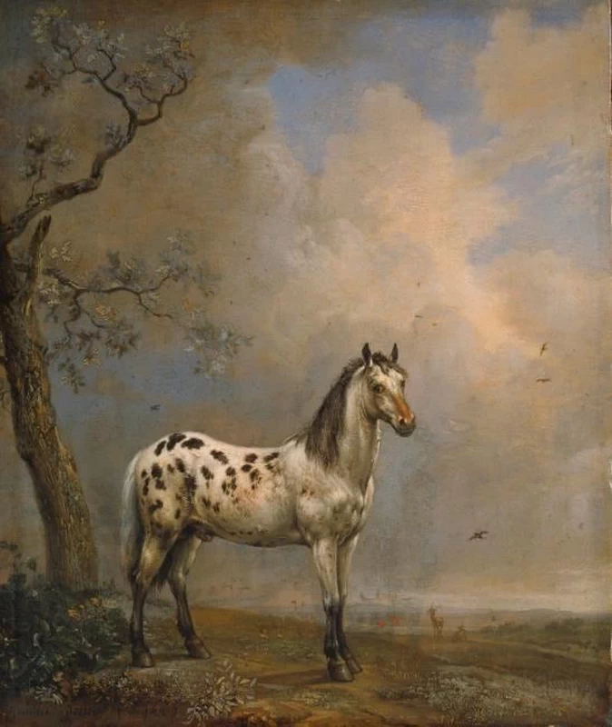 Il cavallo maculato - Museo statale di Schwerin